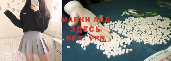 стафф Вязьма