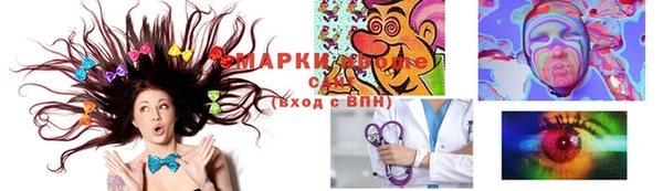 ПСИЛОЦИБИНОВЫЕ ГРИБЫ Вяземский