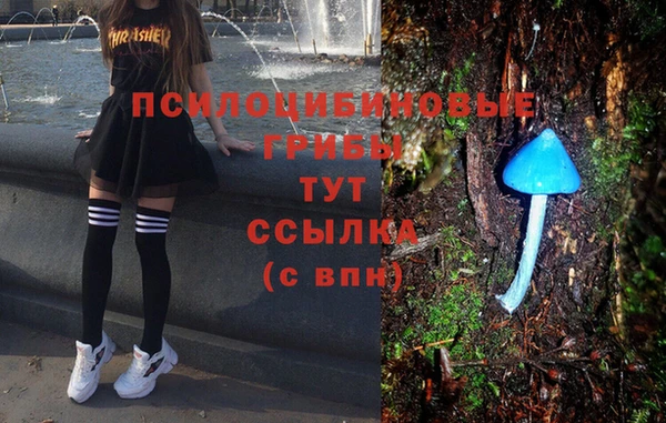 ПСИЛОЦИБИНОВЫЕ ГРИБЫ Вяземский