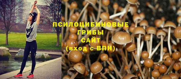 стафф Вязьма