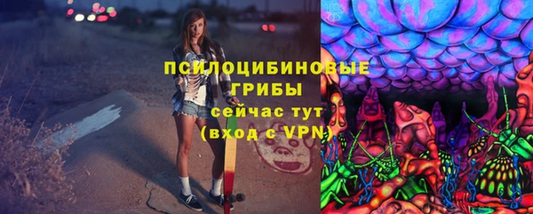 ALPHA PVP Верея