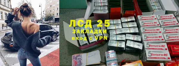 стафф Вязьма