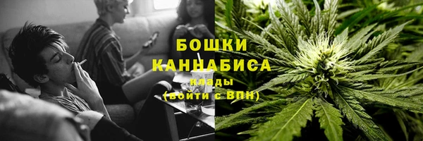 стафф Вязьма